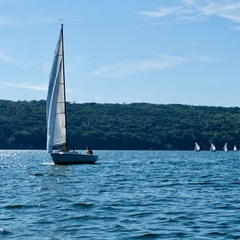 Sailing pic 24